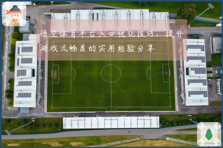 悟空体育平台入口优化技巧，提升游戏流畅度的实用经验分享